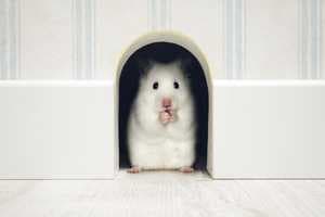 Naturally Overcome Shyness and Social Anxiety