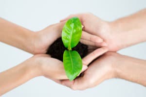 Overcome Insecurities Quickly