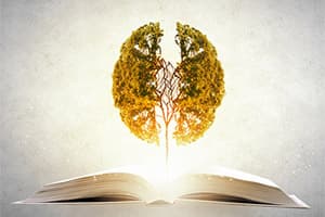 Remember What You Read and Learn Efficiently