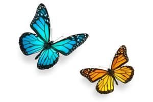 How to Build Your Self Esteem With Hypnosis