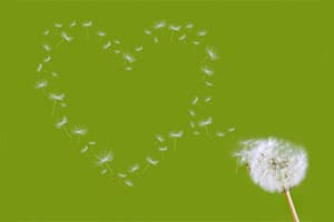 How to Get Over Unrequited Love