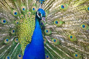 How to Be More Attractive to Women