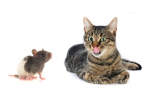 How to Overcome Fear of Confrontation and Conflict
