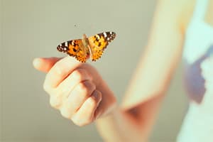 Train in the Art of Mindful Awareness for a Calmer Life