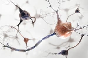 Find Ease with Neuropathic Pain Treatment