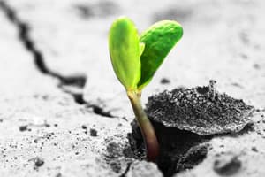 Live Life With No Regrets