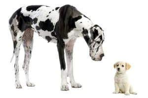 How to Overcome Inferiority Complex