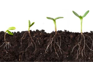 Personal Development Hypnosis Sessions