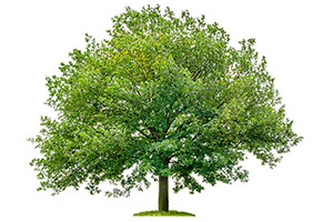 Accelerate your Personal Growth and Development