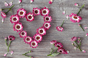 Stop Self Hate Today