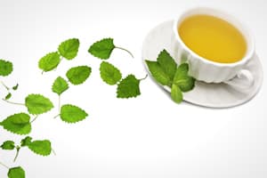 Stress Management Hypnosis Sessions