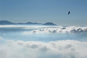 The Trader's Mind - Hypnosis for Trading