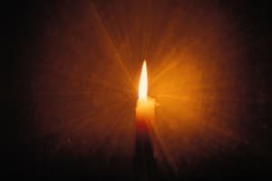 Soothe Your Grieving Mind