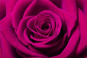 Infertility support hypnosis audio